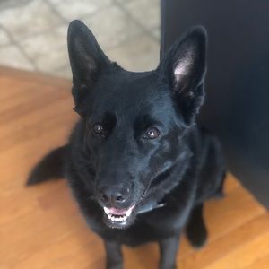 Meet your Posher, Autumn